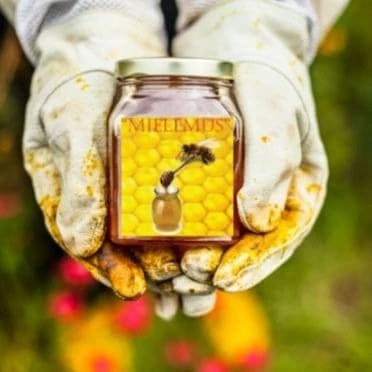 MIELEMUS